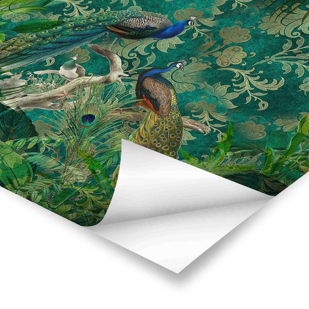 Cuadros Shabby Chic Collage - Noble Peacock II