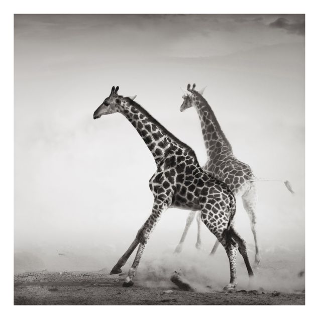 Cuadro jirafas Giraffe Hunt