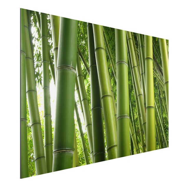 Decoración de cocinas Bamboo Trees No.1