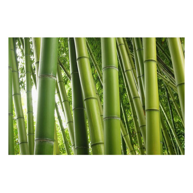 Cuadros de árboles Bamboo Trees No.1