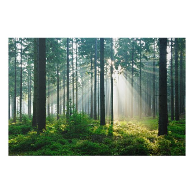 Cuadros de árboles para salón Enlightened Forest