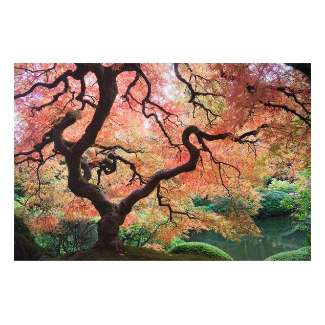 Cuadros de árboles Japanese Garden