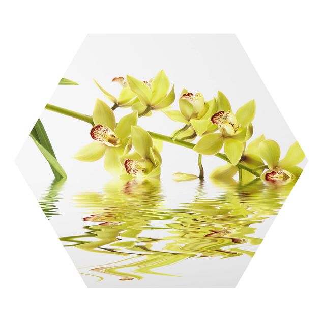 Cuadros modernos Elegant Orchid Waters