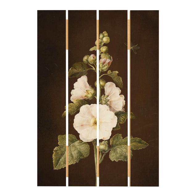 Cuadros de madera flores Barbara Regina Dietzsch - Hollyhock