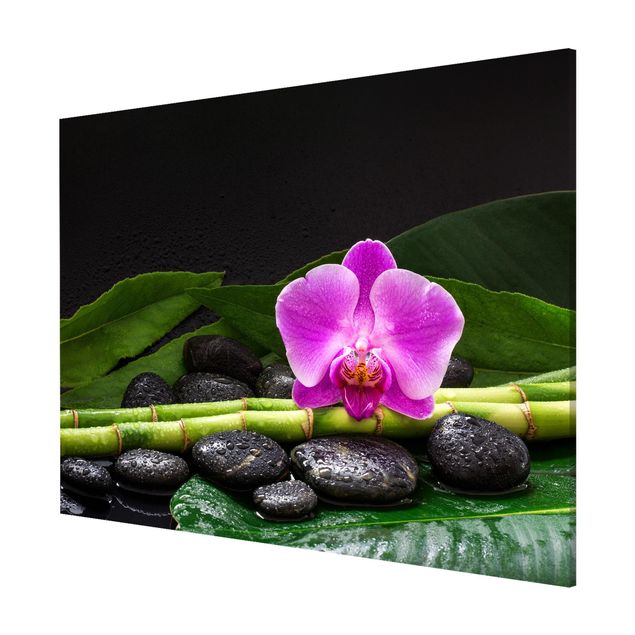 Cuadros bambú decorativos Green Bamboo With Orchid Flower