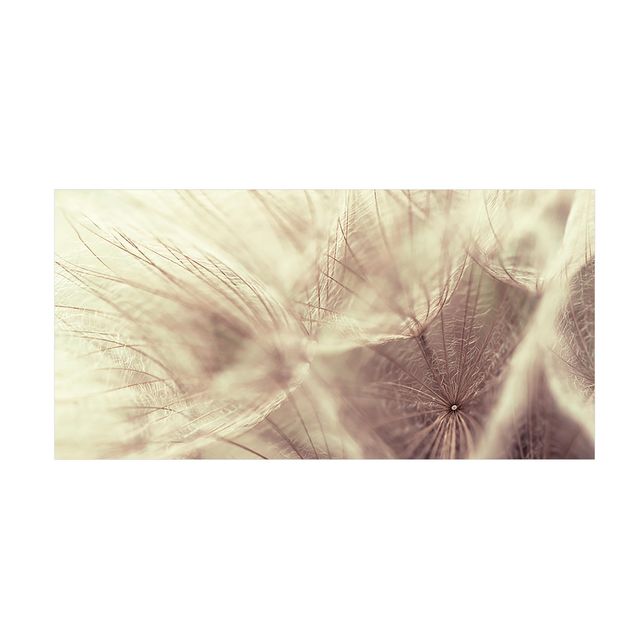 Alfombras de flores Detailed Dandelion Macro Shot With Vintage Blur Effect