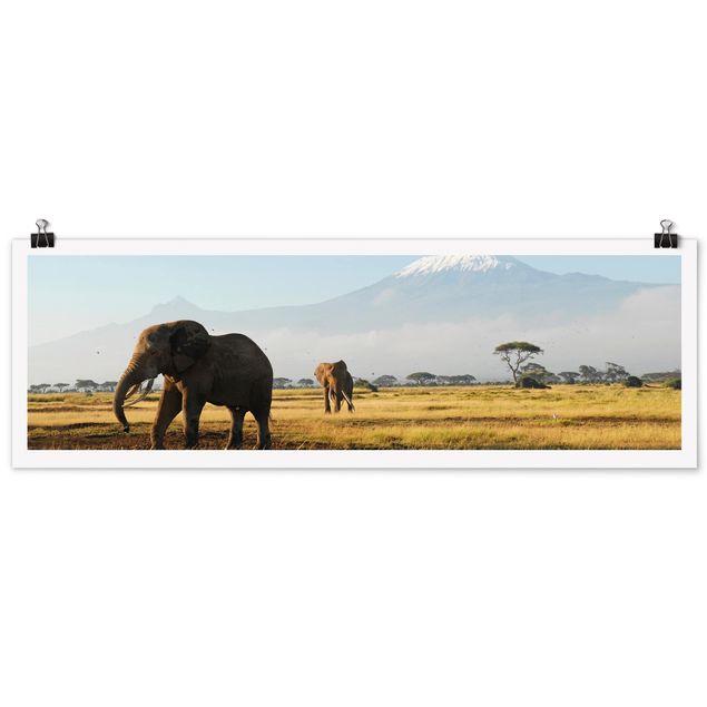 Cuadro con paisajes Elephants In Front Of The Kilimanjaro In Kenya