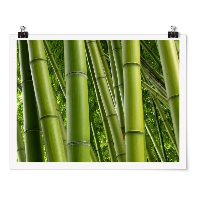 Póster flores Bamboo Trees No.2