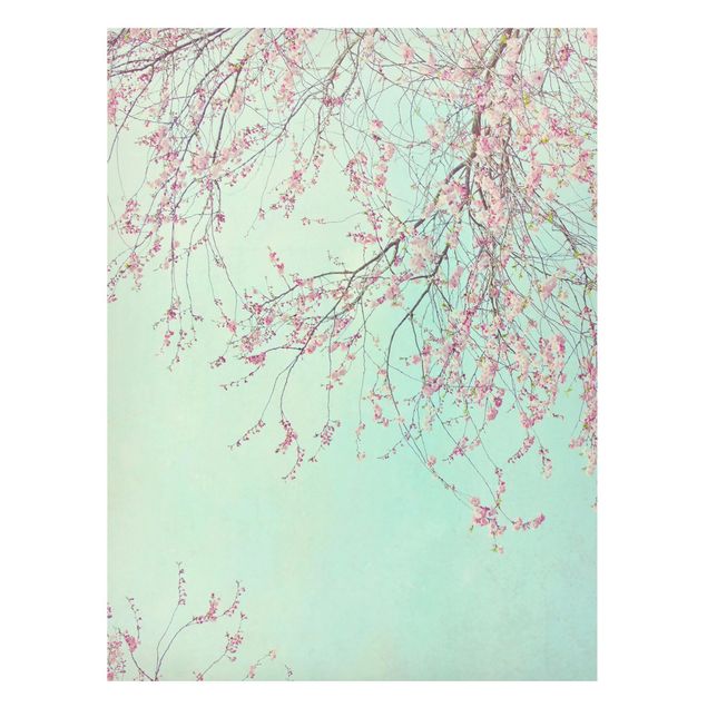 Tableros magnéticos flores Cherry Blossom Yearning