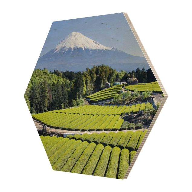 Hexagon Bild Holz - Teefelder vor dem Fuji