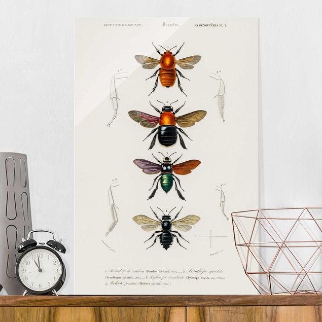 Decoración cocina Vintage Board Insects