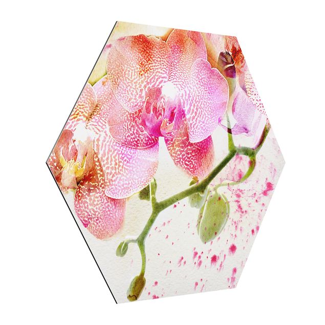 Cuadros de flores Watercolour Flowers Orchids