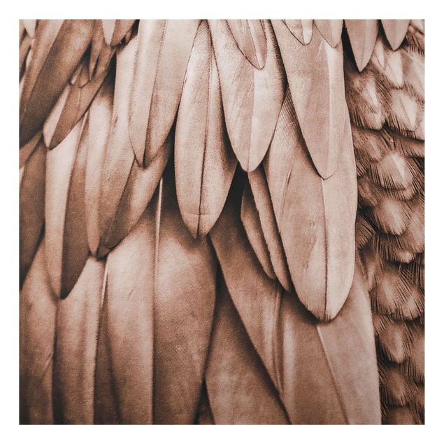 Cuadros plumas Feathers In Rosegold