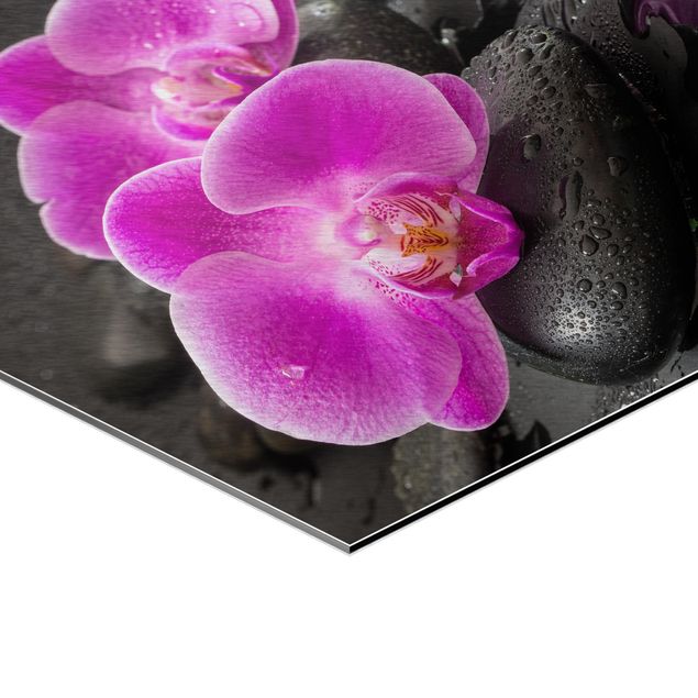 Cuadros decorativos Pink Orchid Flower On Stones With Drops