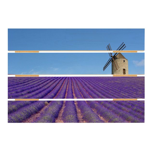 Cuadros de madera Lavender Scent In The Provence