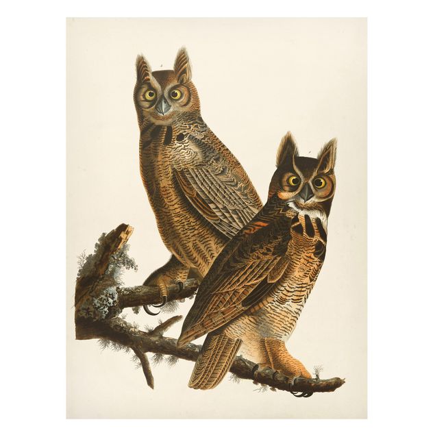 Tableros magnéticos animales Vintage Board Two Large Owls