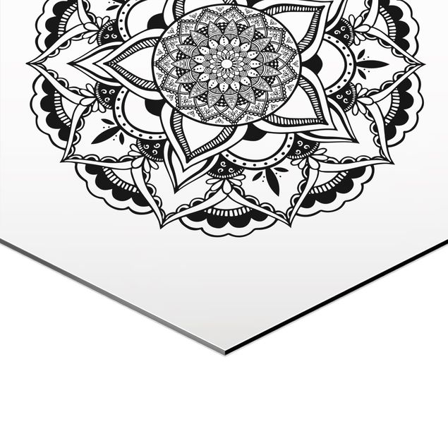 cuadros hexagonales Mandala Flower Sun Illustration Set Black And White