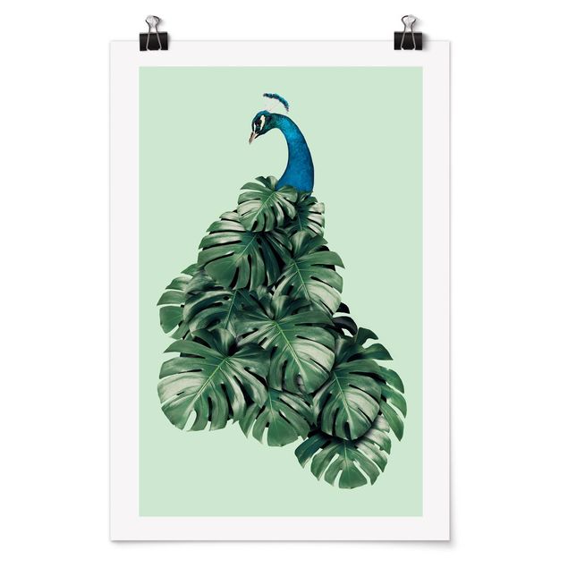 Póster cuadros famosos Peacock With Monstera Leaves