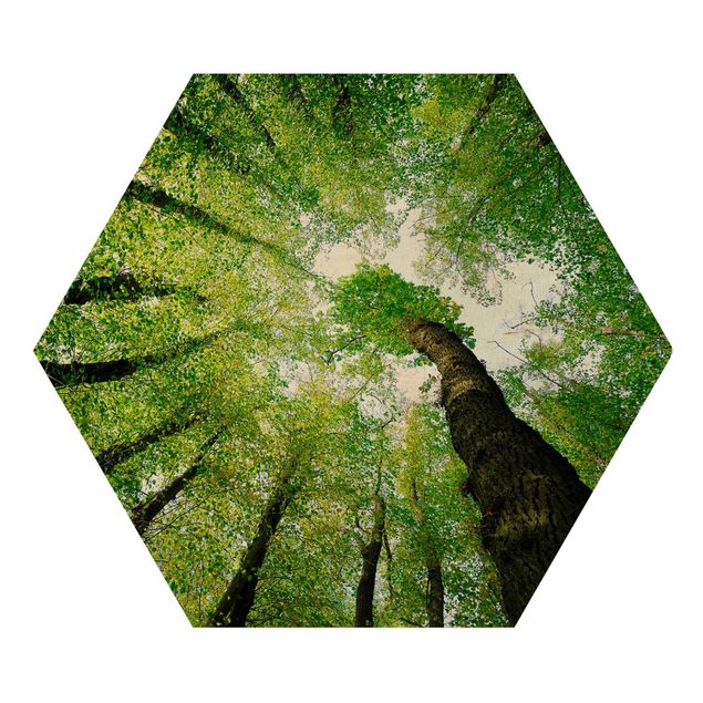 Hexagon Bild Holz - Bäume des Lebens