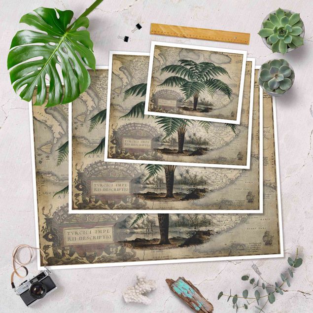 Cuadros decorativos Vintage Collage - Palm And World Map