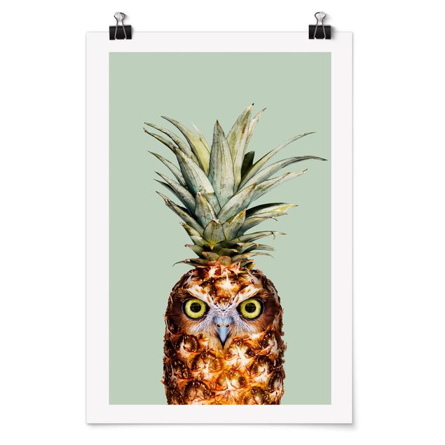 Láminas animales Pineapple With Owl