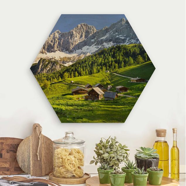Reproducciones de cuadros Styria Alpine Meadow