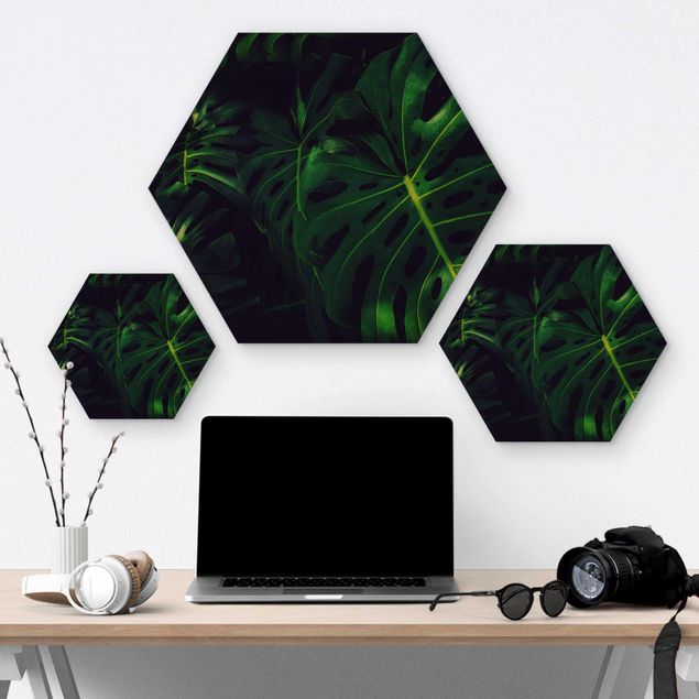 Hexagon Bild Holz - Monsteradschungel