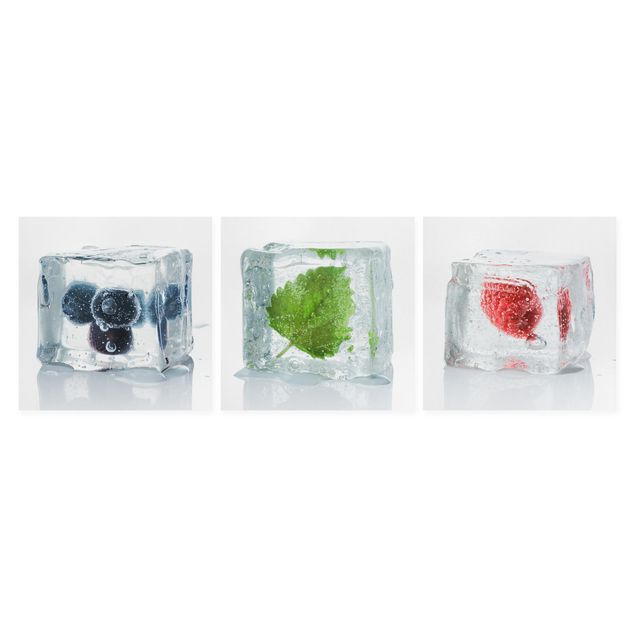 Cuadros de flores modernos Fruits And Lemon Balm In Ice Cube