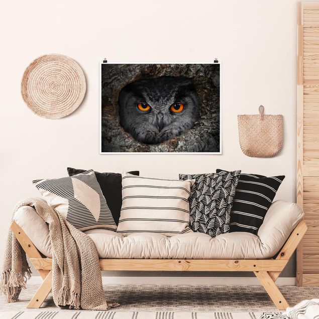 Póster animales Watching Owl