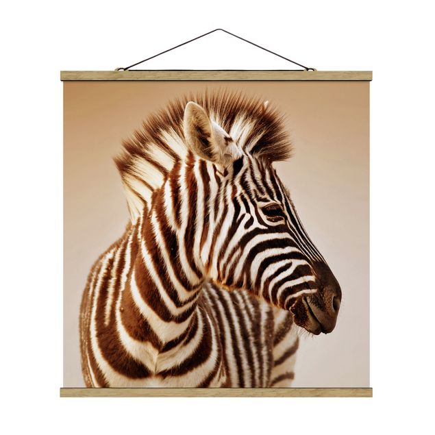 Cuadros modernos y elegantes Zebra Baby Portrait