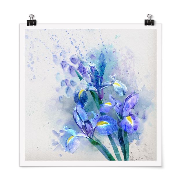 Cuadros de plantas Watercolour Flowers Iris
