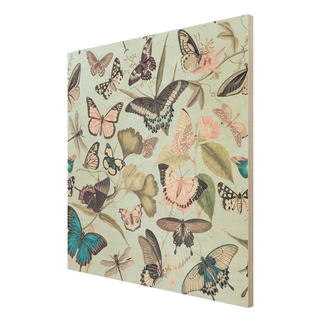 cuadro vintage madera Vintage Collage - Butterflies And Dragonflies