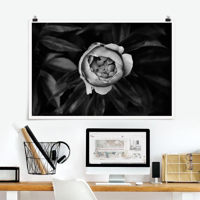 Decoración cocina Peonies In Front Of Leaves Black And White