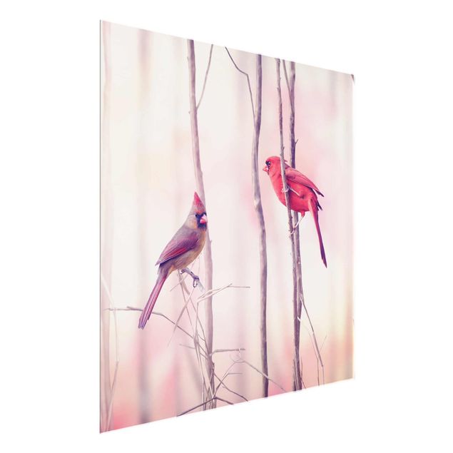 Cuadros infantiles animales Birds on Branches