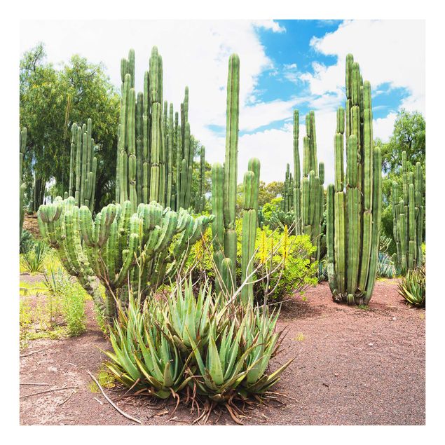 Cuadro con paisajes Cactus Landscape
