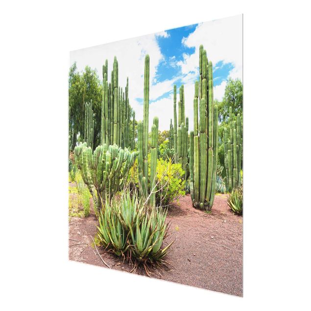 Cuadros de cristal flores Cactus Landscape