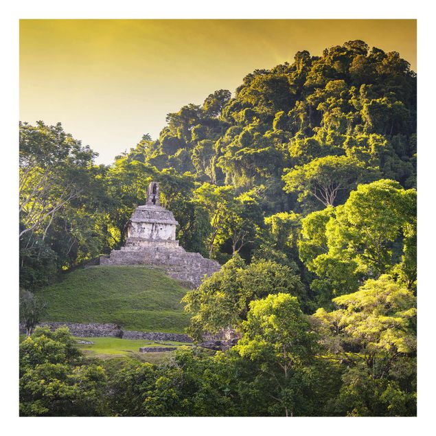 Cuadros de árboles Mayan Ruins