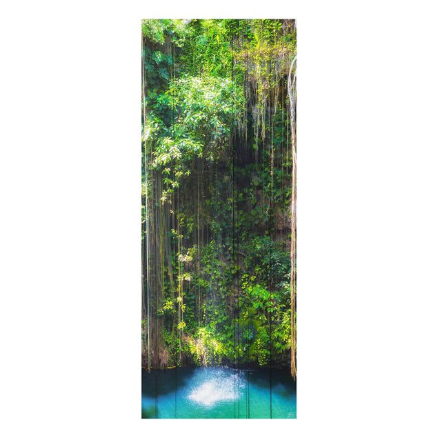 Cuadros de cristal cascadas Hanging Roots Of Ik-Kil Cenote