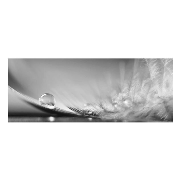 Cuadros a blanco y negro Story of a Waterdrop Black White