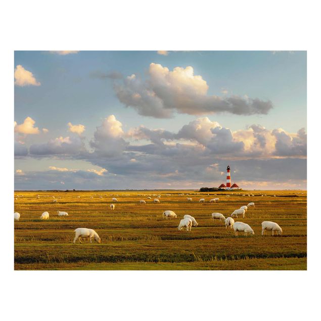 Cuadros naturaleza North Sea Lighthouse With Flock Of Sheep