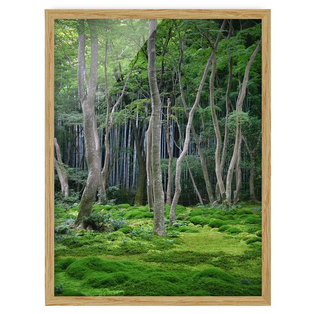 Pósters enmarcados de paisajes Japanese Forest