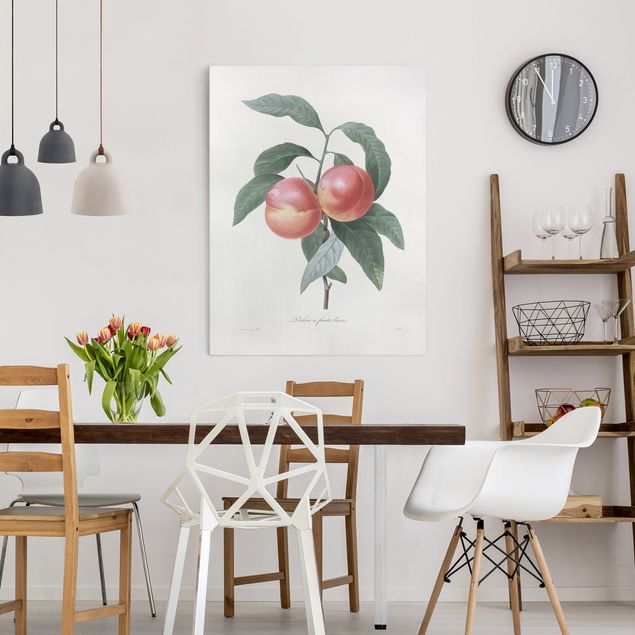 Lienzos de verduras y fruta Botany Vintage Illustration Peach