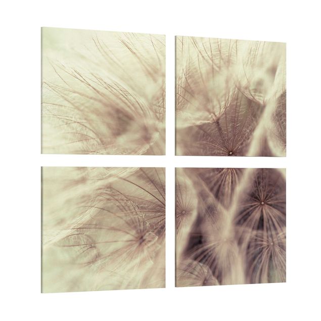 Cuadros de montañas Detailed Dandelion Macro Shot With Vintage Blur Effect