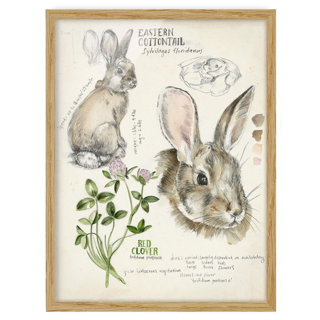 Cuadros de flores modernos Wilderness Journal - Rabbit