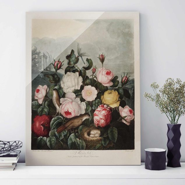 Cuadros de cristal rosas Botany Vintage Illustration Of Roses