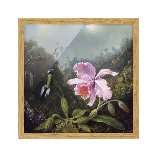Reproducciones de cuadros Martin Johnson Heade - Still Life With An Orchid And A Pair Of Hummingbirds