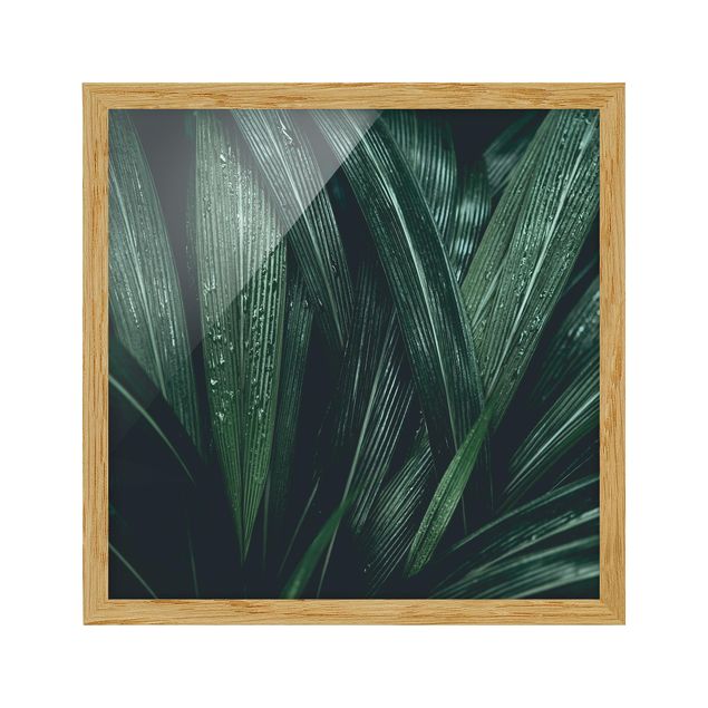 Cuadros de flores Green Palm Leaves