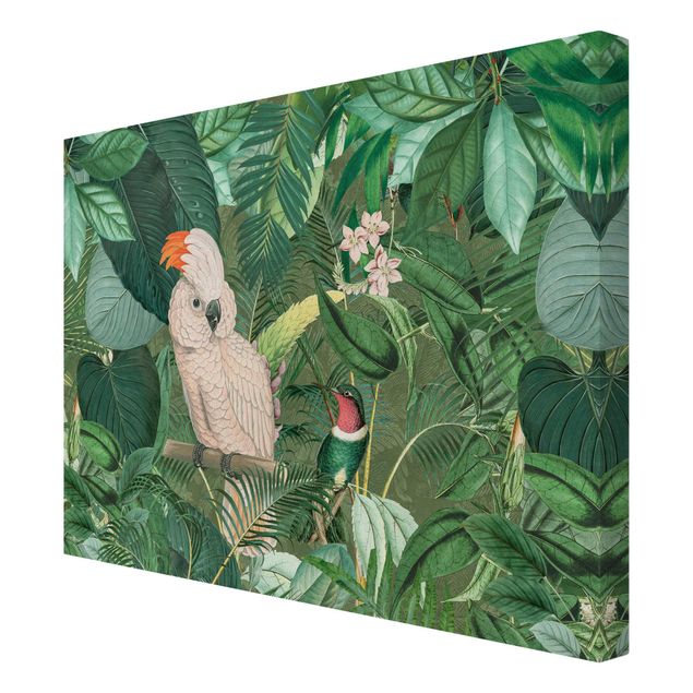 Cuadro verde Vintage Collage - Kakadu And Hummingbird