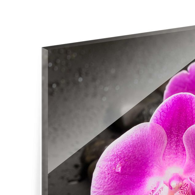 Cuadros Uwe Merkel Pink Orchid Flower On Stones With Drops