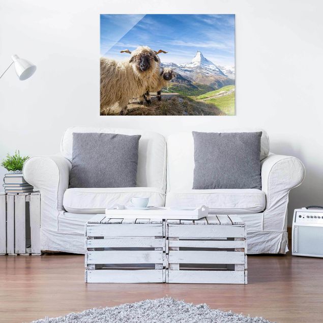 Cuadros de Suiza Blacknose Sheep Of Zermatt